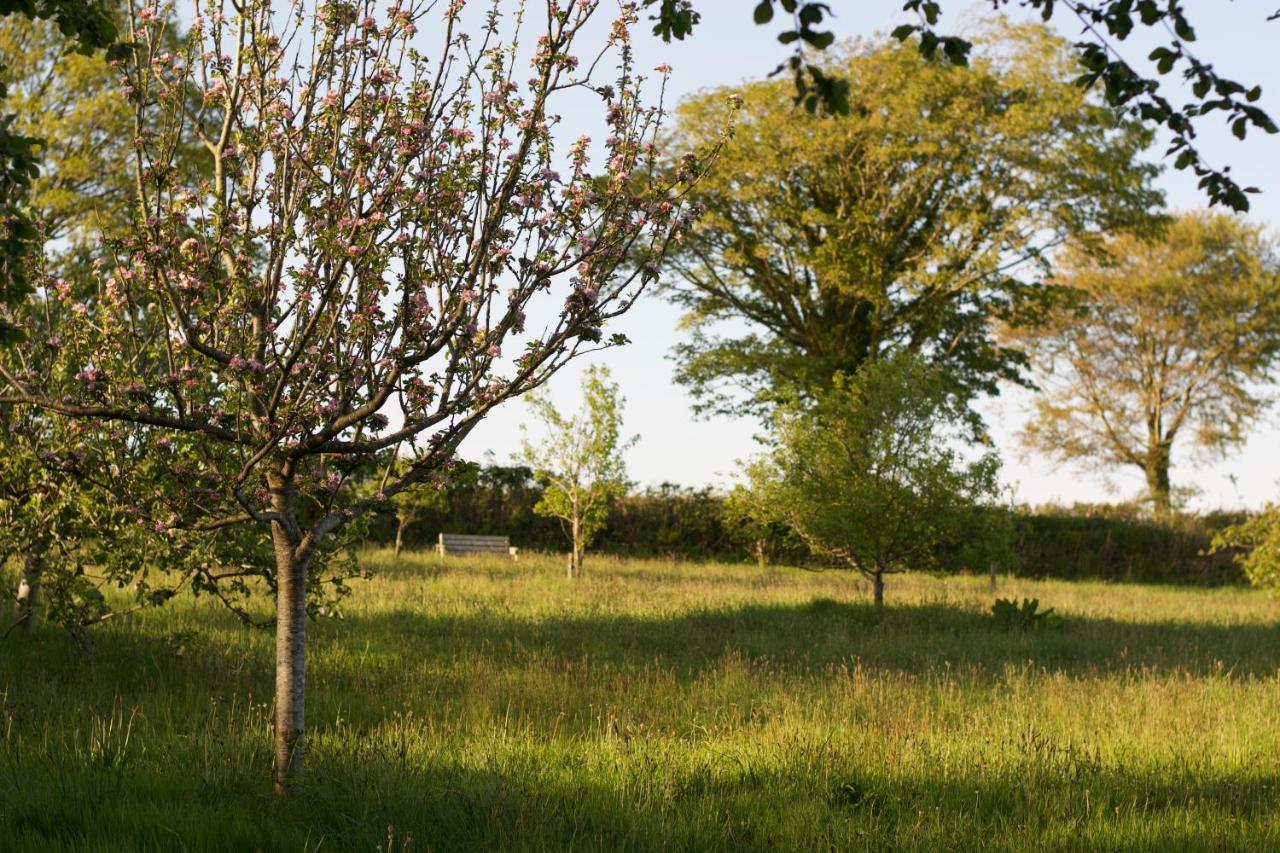 バーンスタプル Holwell Holistic Retreat Bed & Breakfast エクステリア 写真