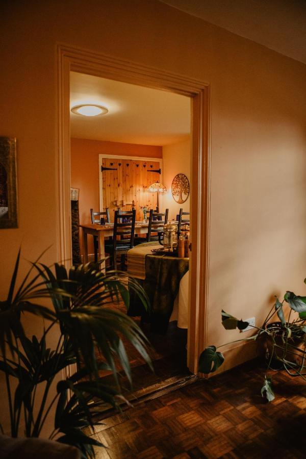 バーンスタプル Holwell Holistic Retreat Bed & Breakfast エクステリア 写真